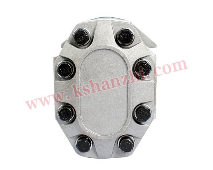 Hanzhi Forklift Parts CBQLD-F532 F532-AF Hydraulic Pump For CPCD40~50, 100% Premium